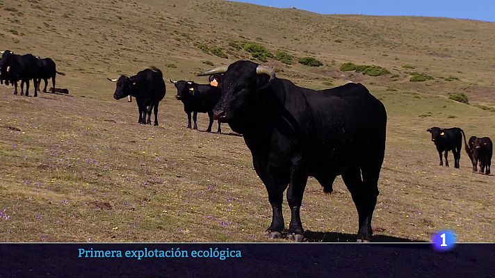 Informativo Telerioja - Informativo Telerioja  - 11/08/23