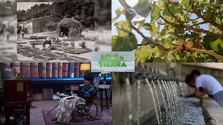 Aquí la Tierra - Aquí la Tierra - 11/08/23