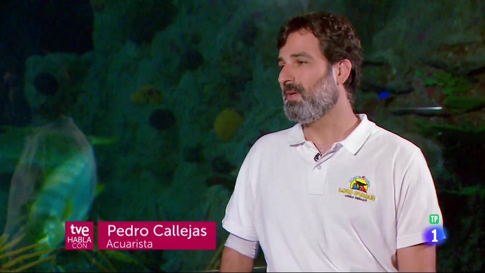 Telecanarias: TVE Habla con Pedro Calleja - 13/08/2023 | RTVE Play