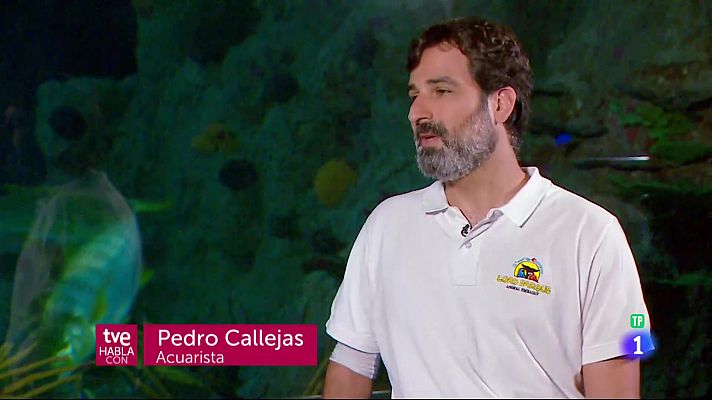 Telecanarias - TVE Habla con Pedro Calleja - 13/08/2023