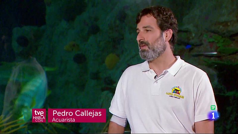 TVE Habla con Pedro Calleja - 13/08/2023