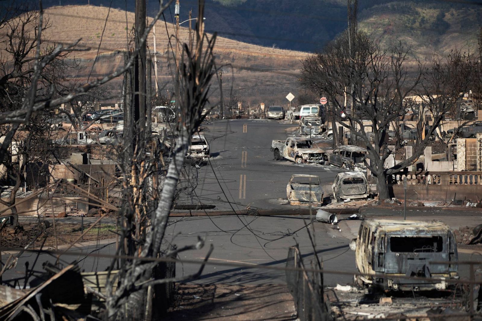 Hawái se centra en la búsqueda de cientos de desaparecidos en los incendios de Maui