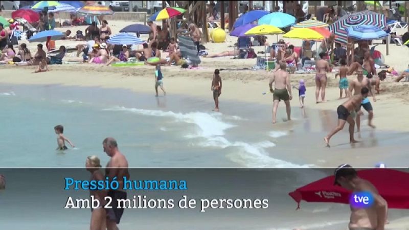 Informatiu Balear 2 - 14/08/23 - Veure ara