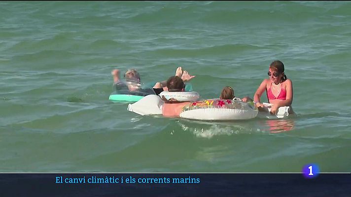 El canvi climàtic i els corrents marins.