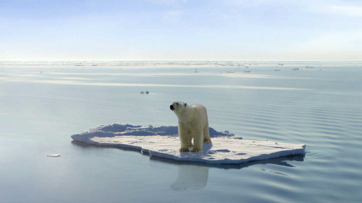 Entrevista: Efectos del cambio climático