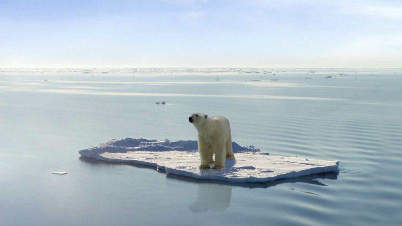 Entrevista: Efectos del cambio climático - Ver ahora