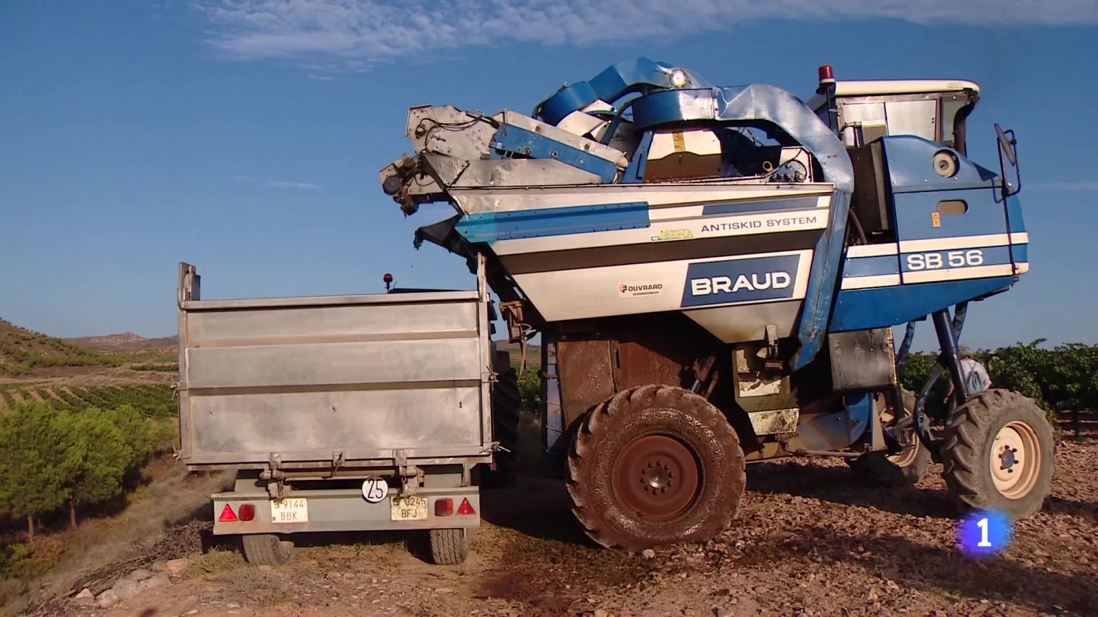 Informativo Telerioja  - 16/08/23 - Ver ahora