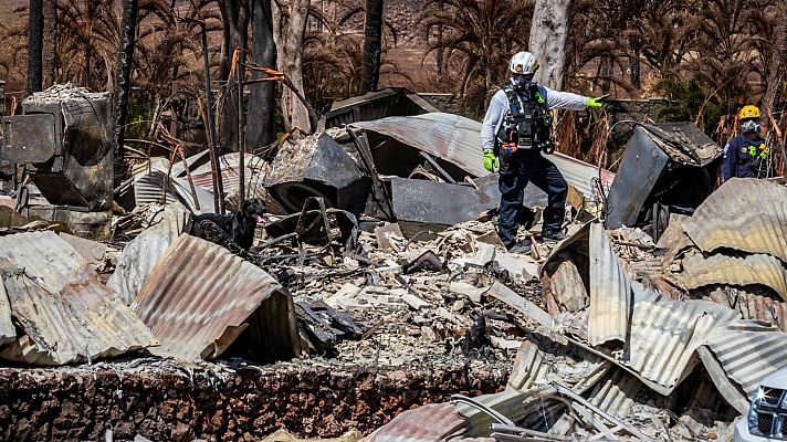 Aumentan las víctimas en los incendios en Maui, Hawái