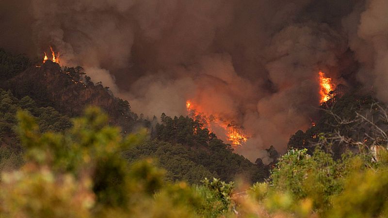 El fuego avanza sin control en el incendio de Tenerife entre los municipios de Candelaria y Arafo