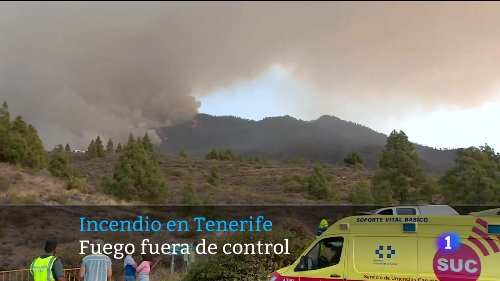 Vídeo del incendio de Tenerife