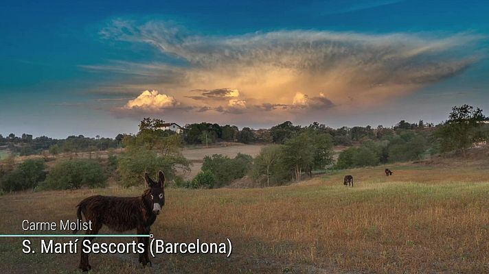 Temperaturas significativamente altas en zonas de Baleares, Andalucía, centro y nordeste peninsular