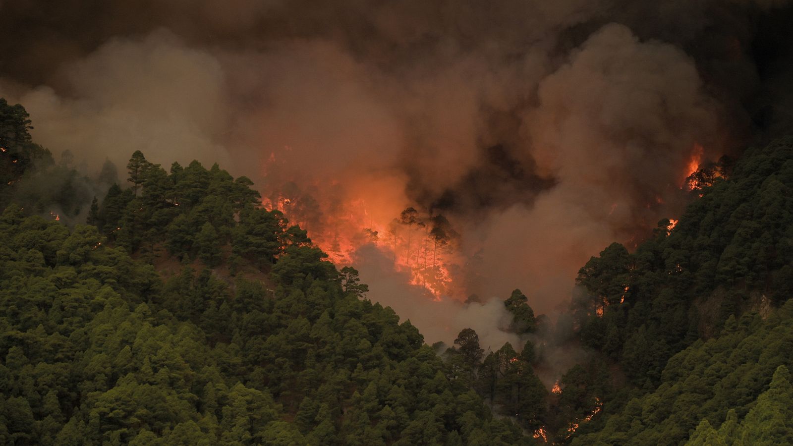 Telediario - 21 horas - 16/08/23 - Lengua de signos - ver ahora