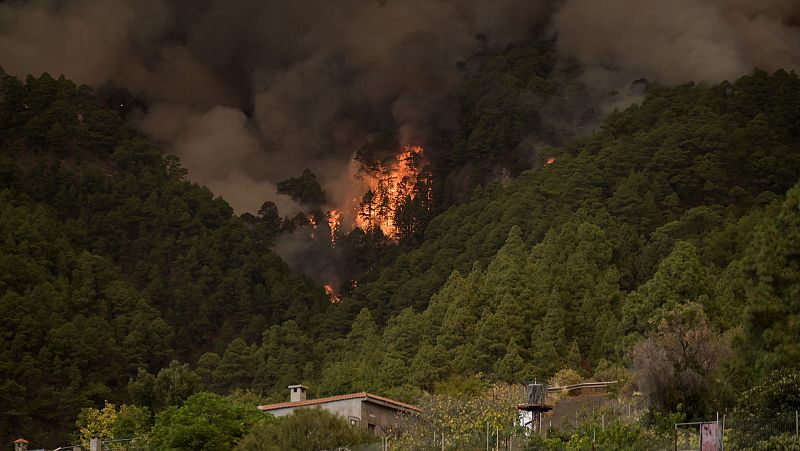 El incendio de Tenerife avanza sin control: La orografía dificulta los trabajos de extinción