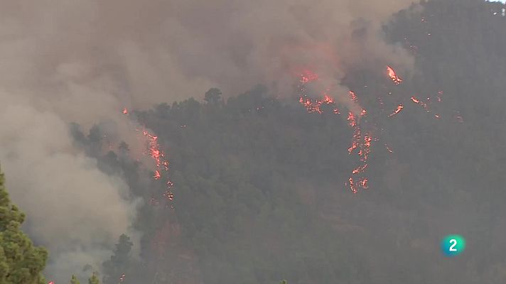 Telecanarias - Telecanarias 2 - 16/08/2023
