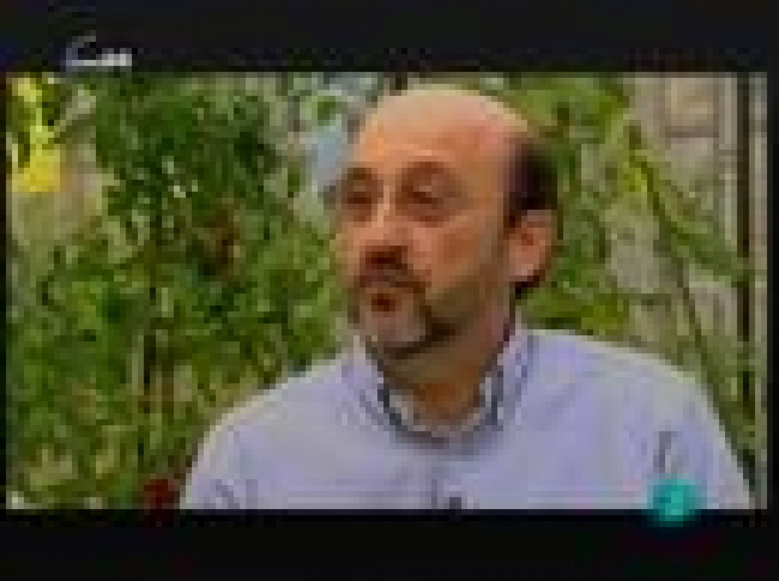 Pere Puigdomènech (plantas)