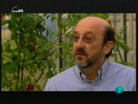 tres14 - Pere Puigdomènech