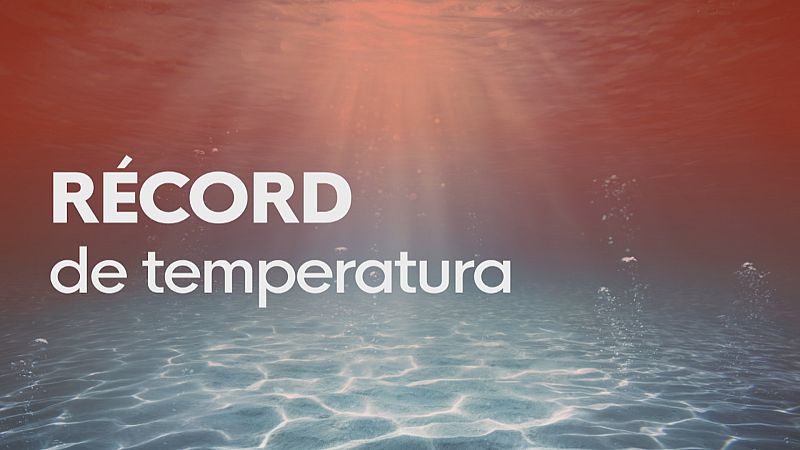 Temperatura récord en Mar Cabo de Gata - Ver ahora