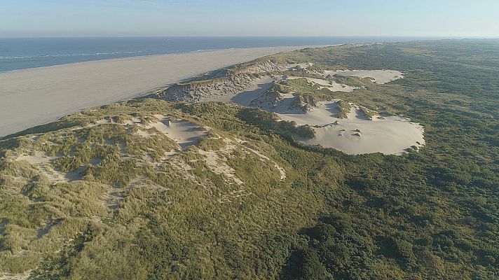 Los Países Bajos salvajes. Un país bajo el nivel del mar