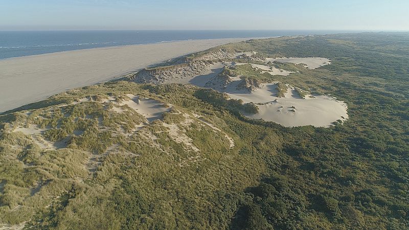 Somos documentales - Los Países Bajos salvajes. Un país bajo el nivel del mar - ver ahora