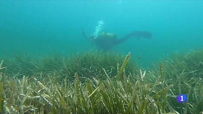 Demanen més vigilància a les cales de la Costa Brava