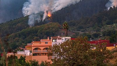 Once municipios afectados por el incendio de Tenerife, que sigue sin control