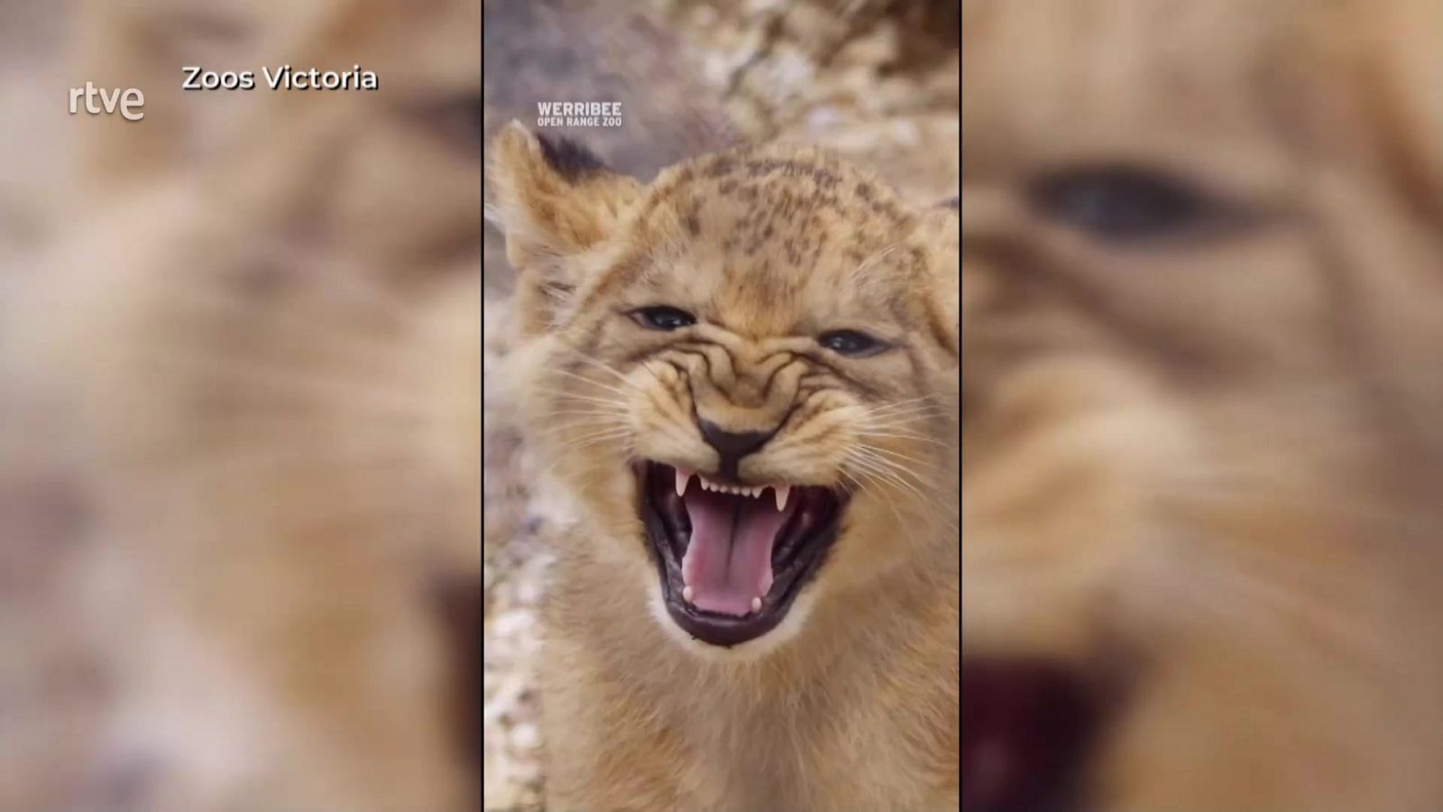 Aquí la Tierra - 20/08/23 - ver ahora