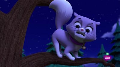 Una gatita de ciudad