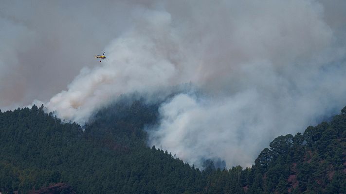 Evoluciona favorablemente el incendio de Tenerife: El fuego podría darse esta tarde por estabilizado