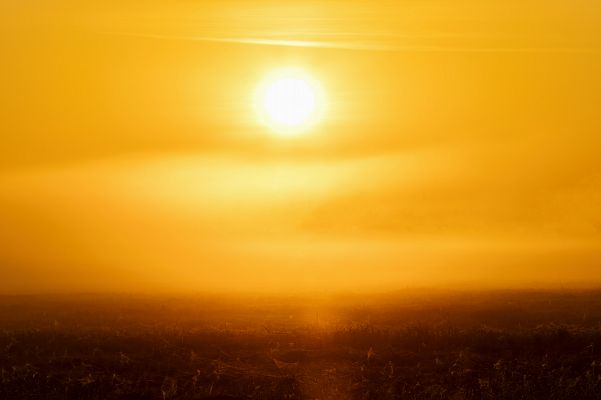 Noticias Andalucía - Entrevista: El tiempo que viene