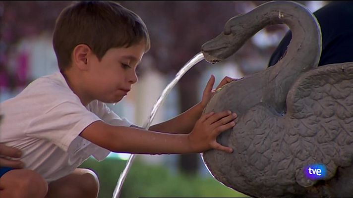 L'informatiu - Comunitat Valenciana - L'Informatiu de la Comunitat Valenciana 1 - 21/08/23