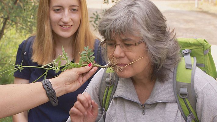 Mujeres que promueven la economía circular