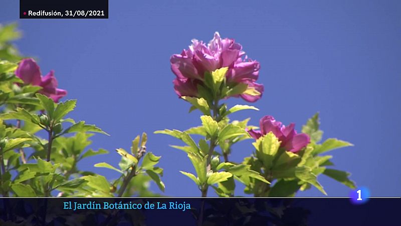 Telerioja en 2' - 22/08/23 - Ver ahora