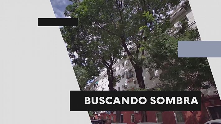 Noticias Andalucía - Mantener la salud con altas temperaturas