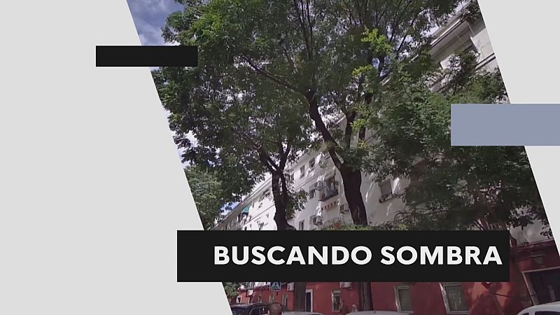 Mantener la salud con altas temperaturas - Ver ahora