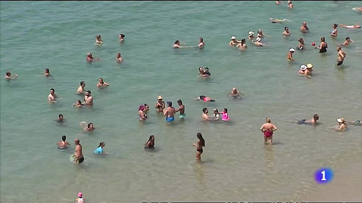 Les conseqüències nefastes per a la vida submarina de l'augment de la temperatura del mar