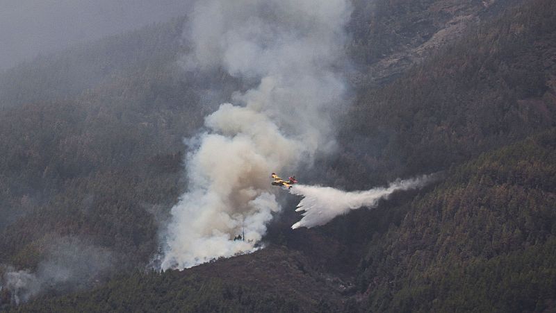 Detrás de las 14.000 hectáreas quemadas en Tenerife, las devastadoras consecuencias psicólogicas