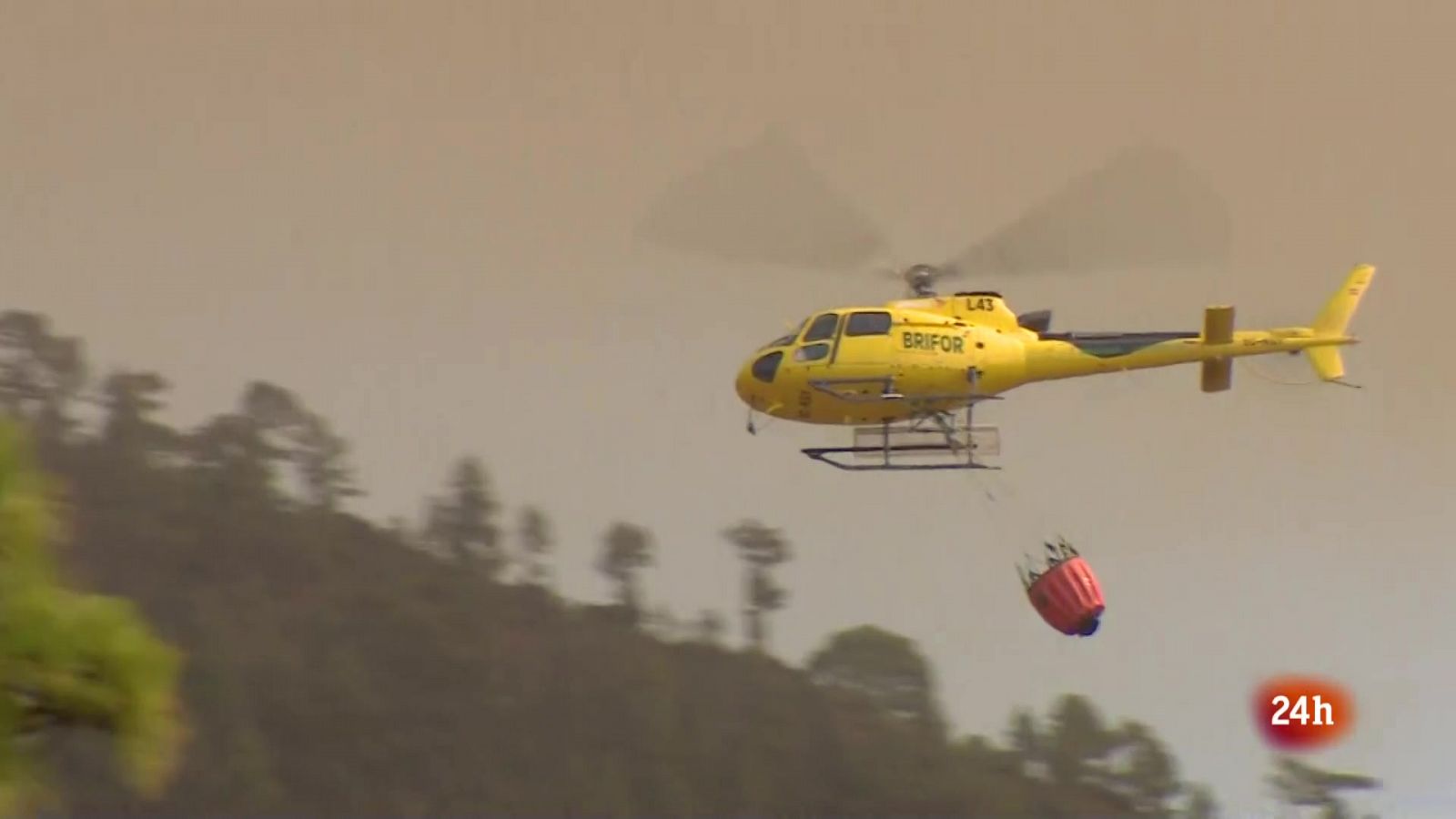 Telecanarias 2 - 22/08/2023 | Ver