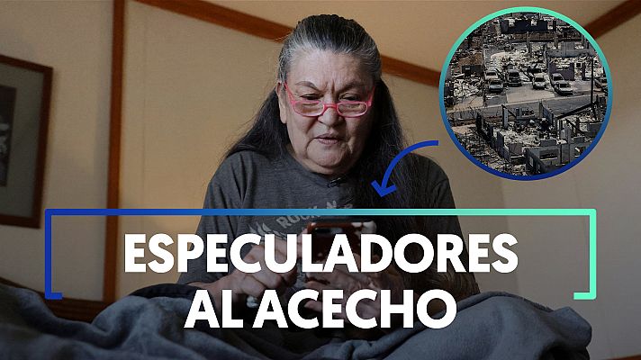 Modo Digital - Hawái: inmobiliarias buscan hacerse con terrenos calcinados