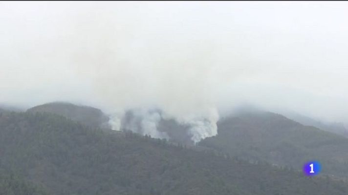 Telecanarias - Telecanarias - 23/08/2023