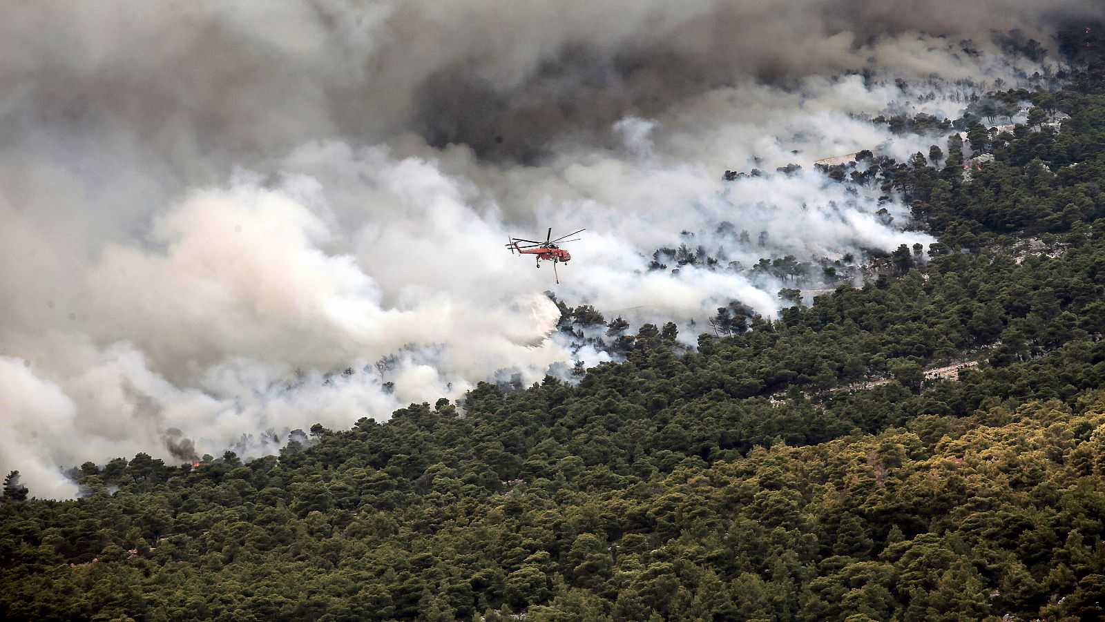 Los incendios arrasan Grecia, mientras el fuego del Parnaso ya amenaza Atenas