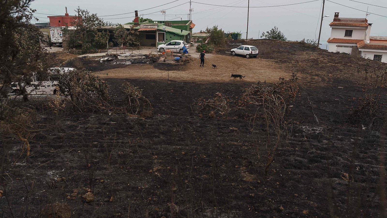 Incendio en Tenerife: La mayor parte del perímetro está estabilizado