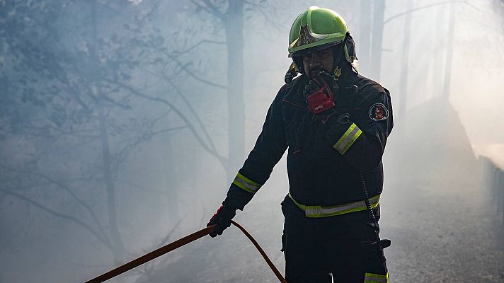 Incendio en Tenerife: el fuego no avanza pero siguen los rebrotes