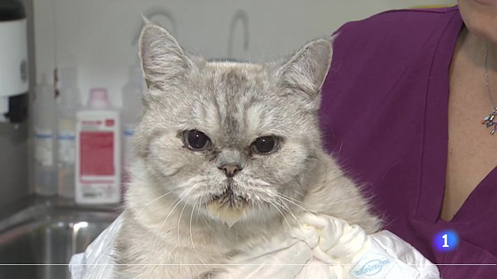 Informativo Telerioja - Informativo Telerioja 2 - 24/08/23