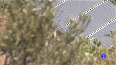 Llum verda a una planta solar en terrenys on una taulellera volia construir un centre logstic