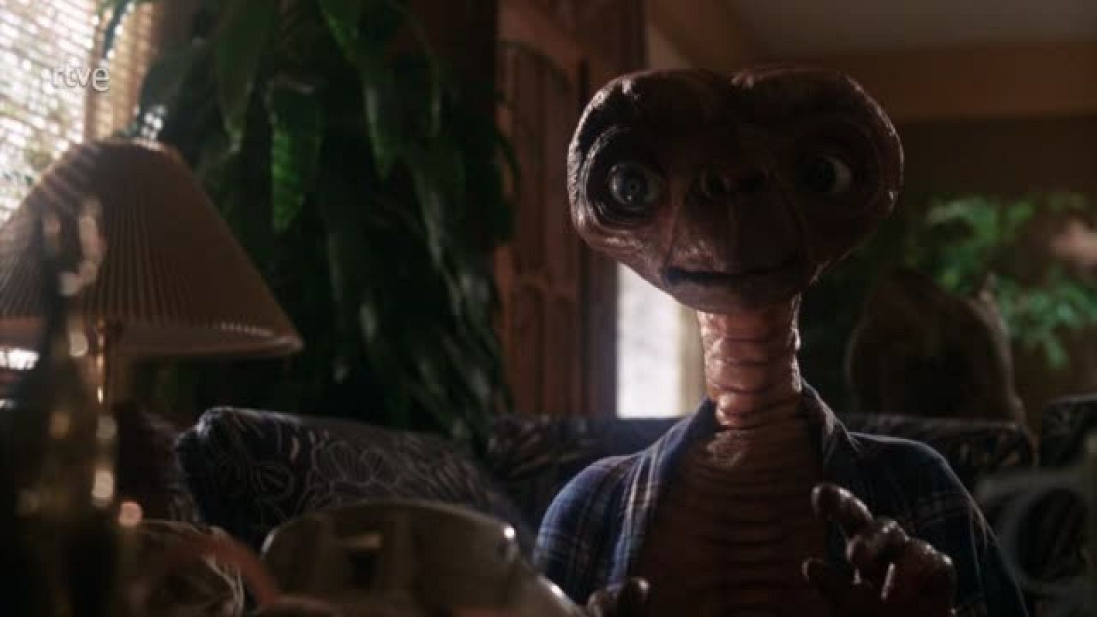 Días de cine: Días de Cine: Momento DDC y despedida John Ford. | RTVE Play