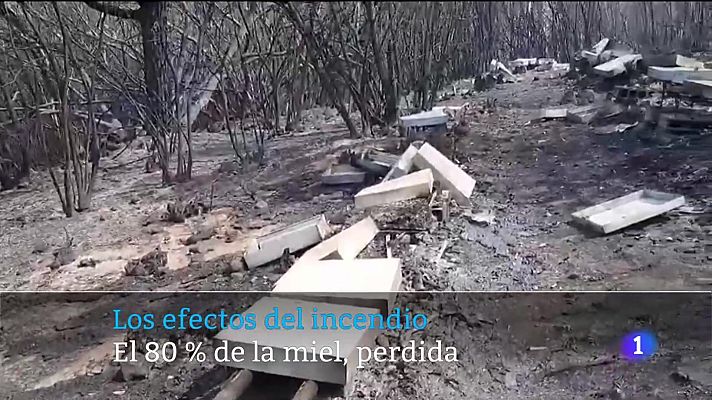 Telecanarias - Canarias en 2' - 25/08/2023