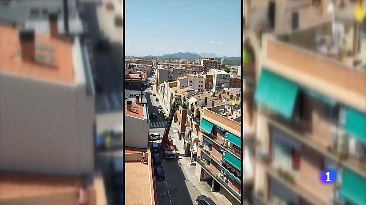 L'Informatiu - Tres gossos abandonats al balcó de casa aquesta setmana