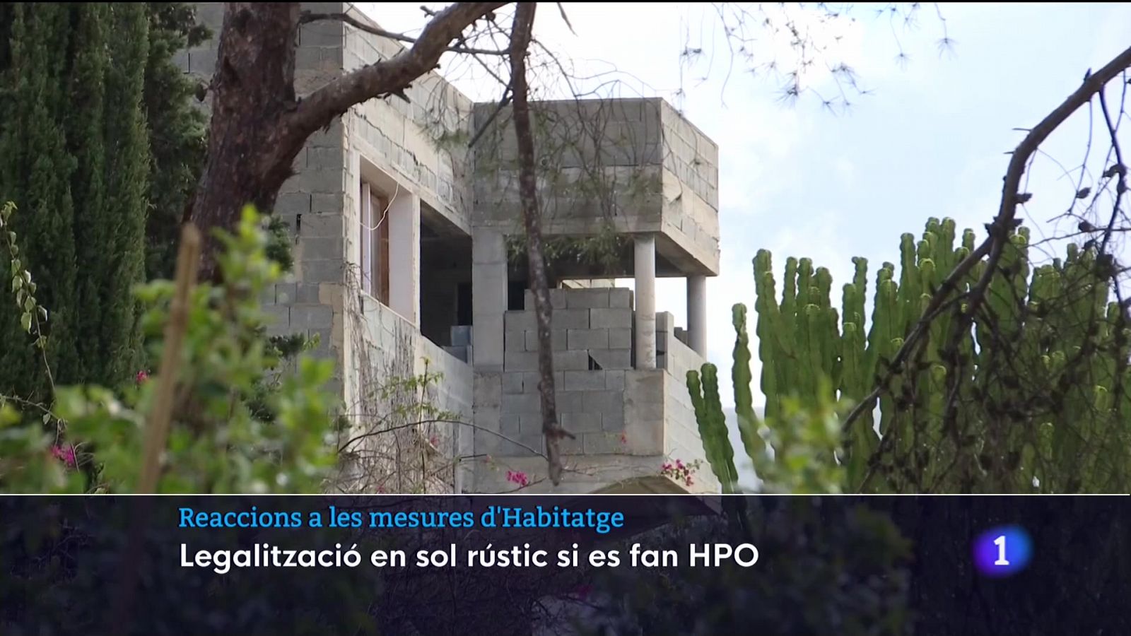 Reaccions a les mesures de la Conselleria d'Habitatge