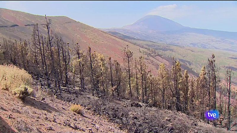 Canarias en 2' - 27/08/2023