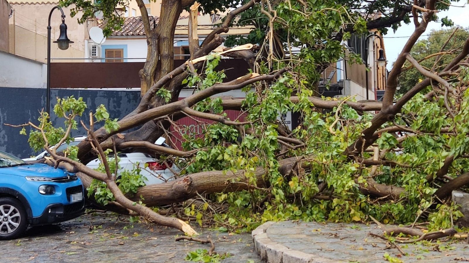 Telediario - 15 horas - 27/08/23 - Lengua de signos - ver ahora
